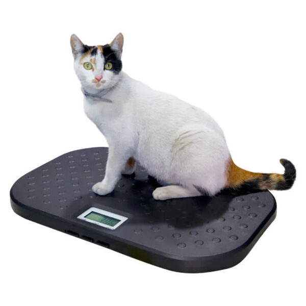 Báscula para Veterinarias PET-40