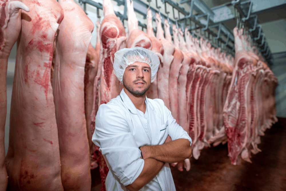 procesamiento de carne 2