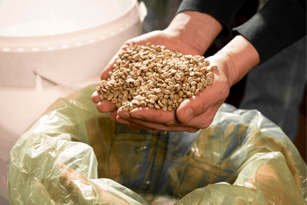 que es un molino maiz