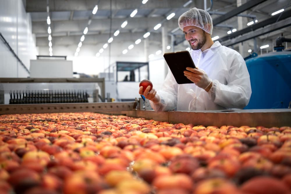 Control de calidad en la industria de alimentos: Todo lo que necesitas saber para garantizar productos seguros 1 technologist doing quality control apple fruit production food processing plant 1 1