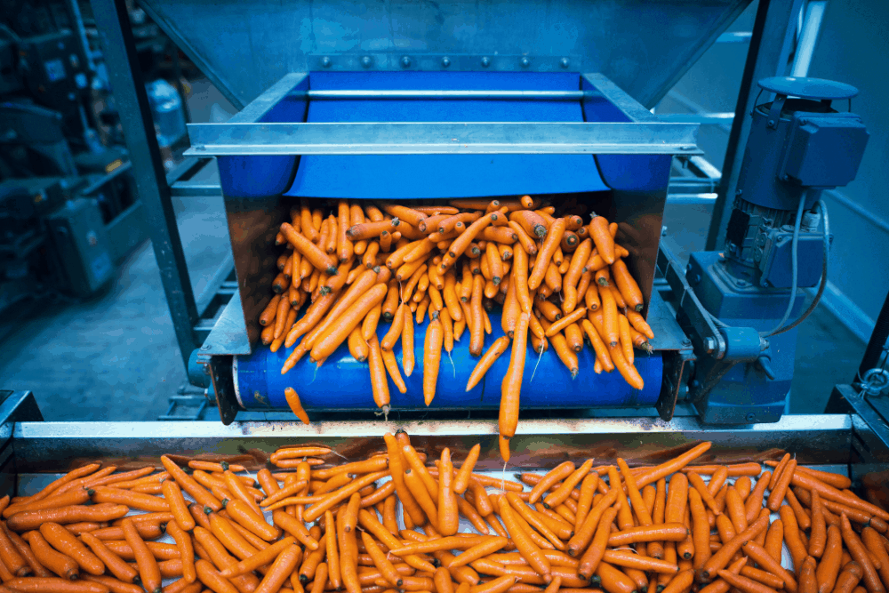 Máquinas de corte industrial para verduras: eficiencia y precisión en tu producción alimentaria 3 Cortadoras industriales de verduras