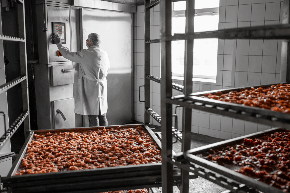 secado industrial de alimentos