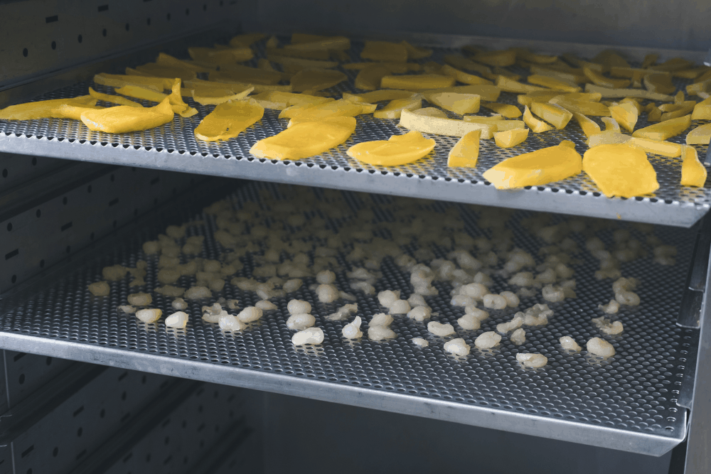secado industrial de alimentos2