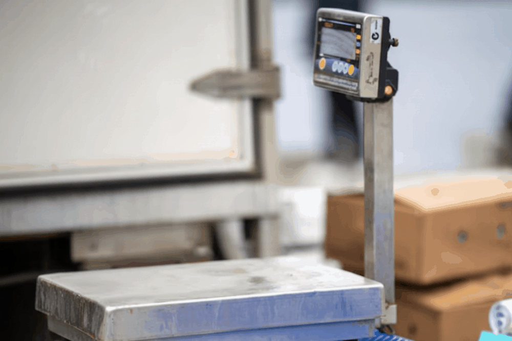 balanzas industriales 2