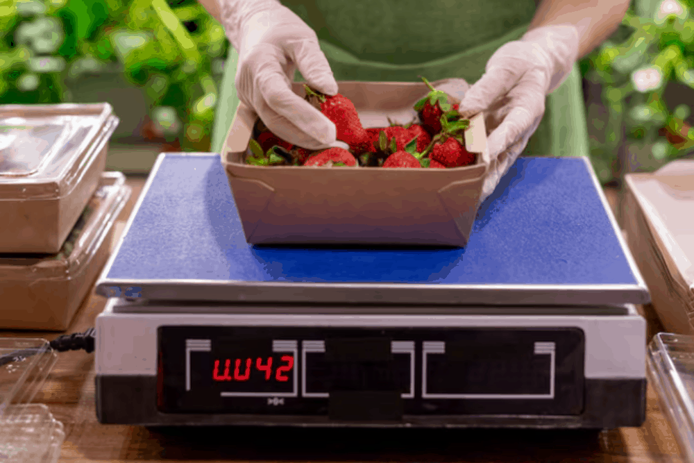 Báscula digital inteligente: la solución avanzada para mediciones precisas y eficientes 2 bascula digital inteligente 2