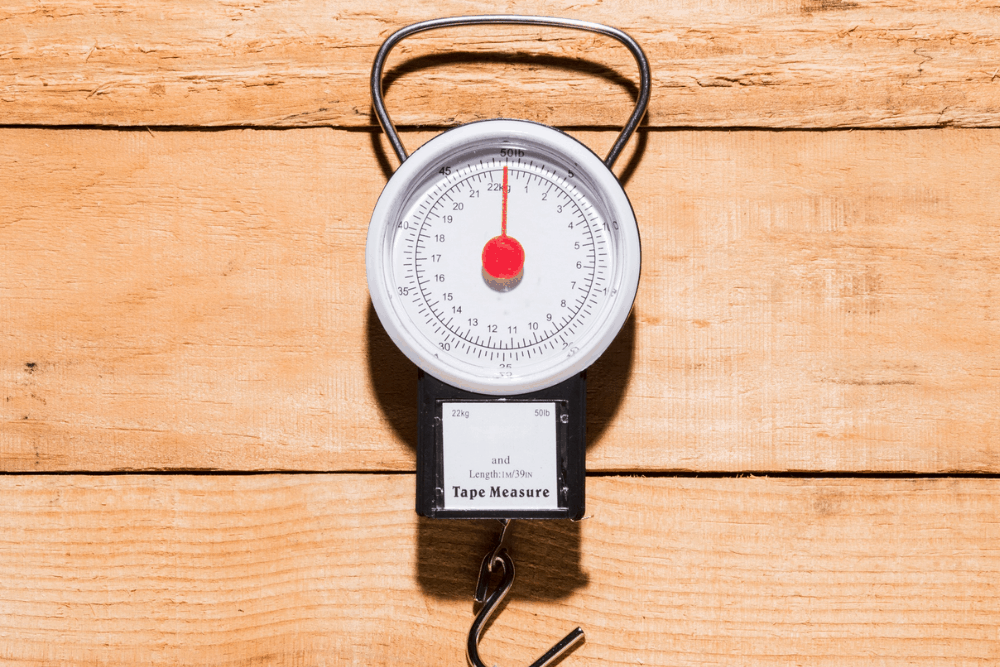 diferencias entre balanzas 2